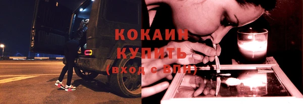 гашик Арсеньев