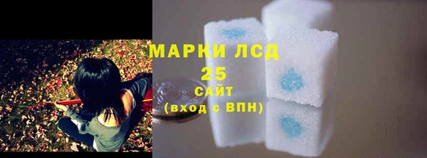 гашик Арсеньев