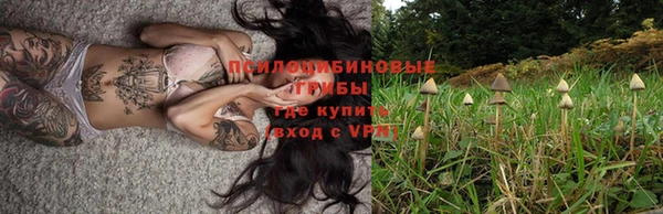 экстази Алексин
