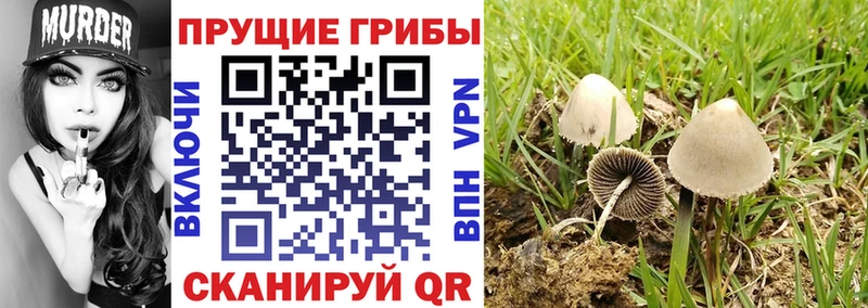 Псилоцибиновые грибы мицелий  Орёл 